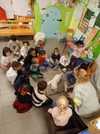 whatsapp image 2026-01-16 at 22.47.23 2